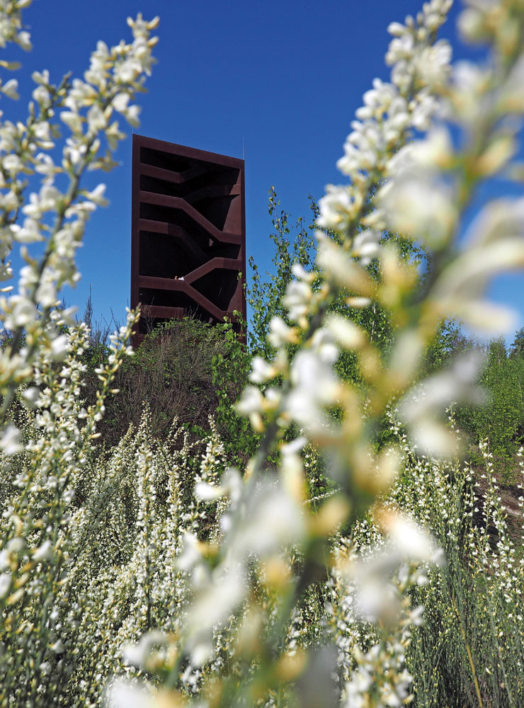 Auf Tour zwischen Senftenberger See und Sedlitzer See ist nicht nur ein Blick auf den „Rostigen Nagel“, sondern auch von oben ein Muss.

© Foto: Karsten Blüthgen