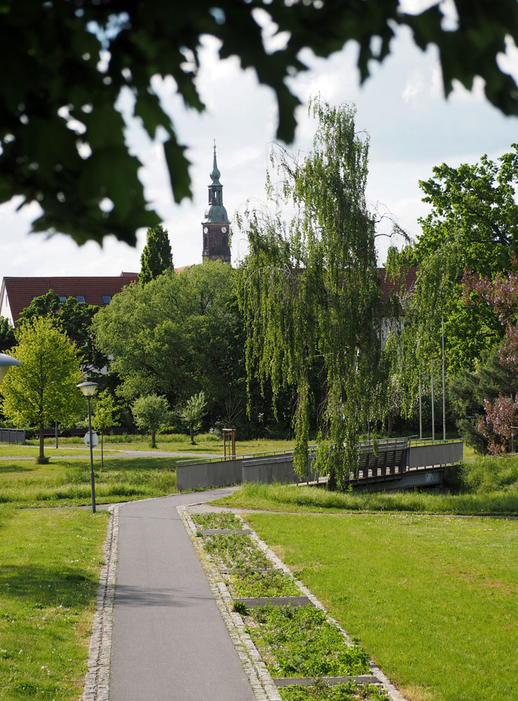 Blick über den Gartenschaupark, der von der Großen Röder durchflossen wird,
zur historischen Altstadt von Großenhain mit Marienkirche.

© Foto: Karsten Blüthgen